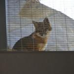 FITS_219 (May 04, 2019)